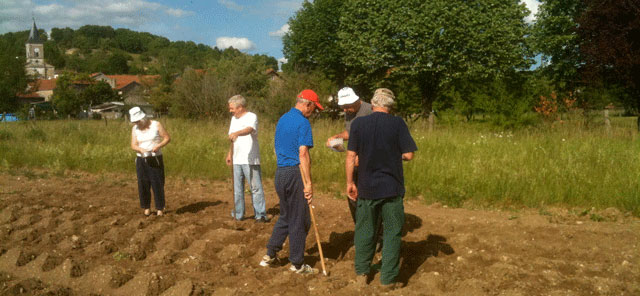 plant04.jpg