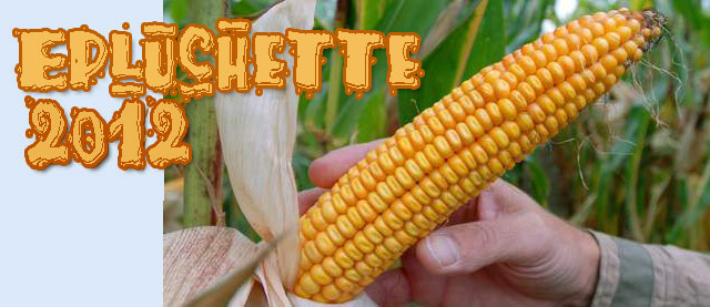 eplu00.jpg