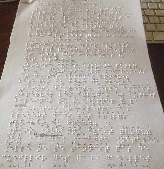 DS-brail.jpg