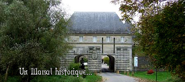 S35.jpg